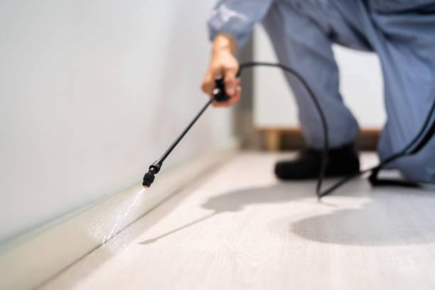 Rodent Entry Point Assessment in Kewaunee