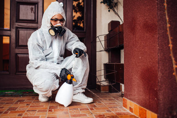 Attic and Crawl Space Rodent Treatment in Kewaunee