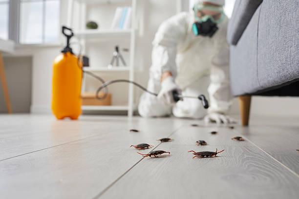 Commercial Rodent Management in Kewaunee